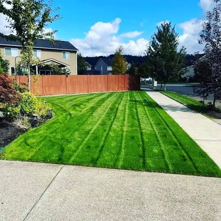 Landscaping project