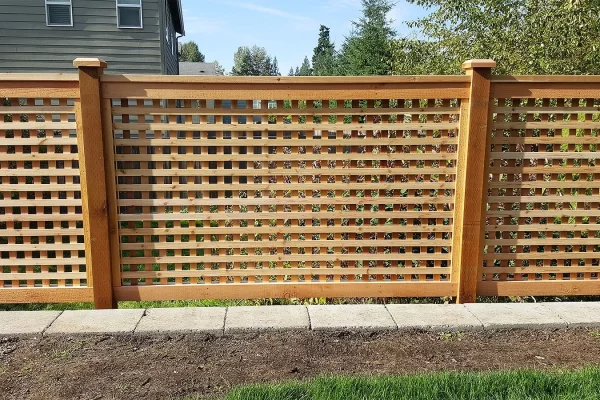 Fence  Installation