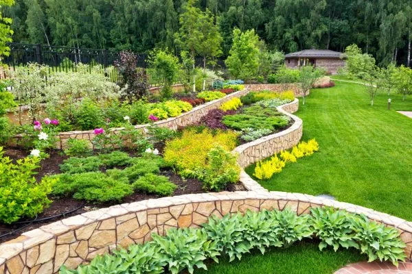 Landscape Design & Installation