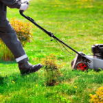 Transforming Workspaces: Top Commercial Landscaping Solutions for Buffalo, NY Businesses