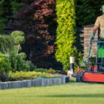 Transforming Buffalo Yards : Expert Landscaping Tips for Every Season