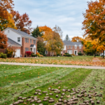 Benefits of Fall Aeration and Overseeding in Buffalo
